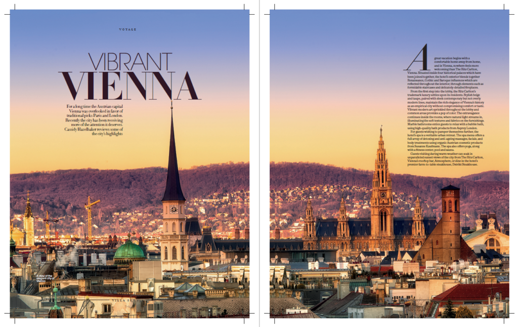 Vibrant Vienna